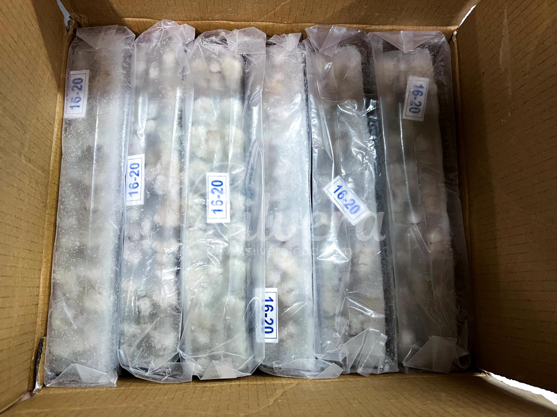 Inside carton - ASC vannamei shrimp meat