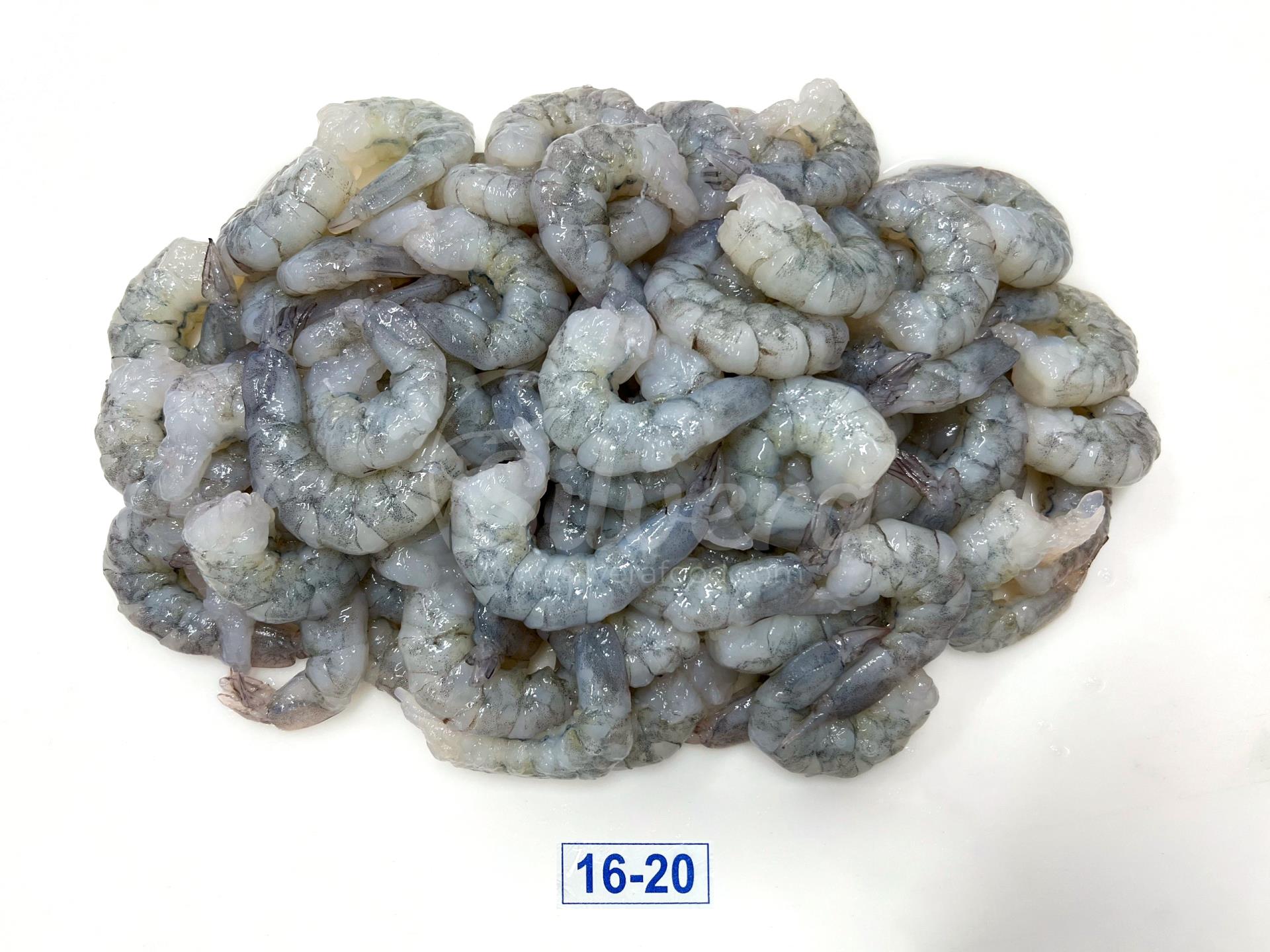 ASC vannamei shrimp meat defrosted