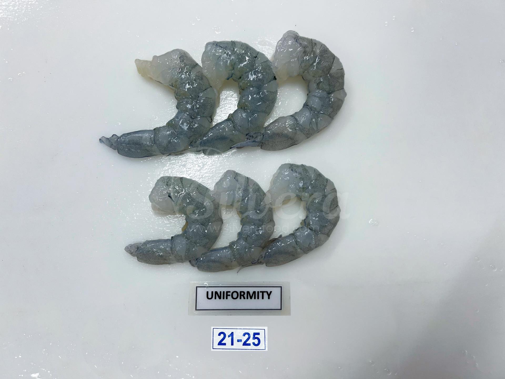 ASC vannamei shrimp meat defrosted