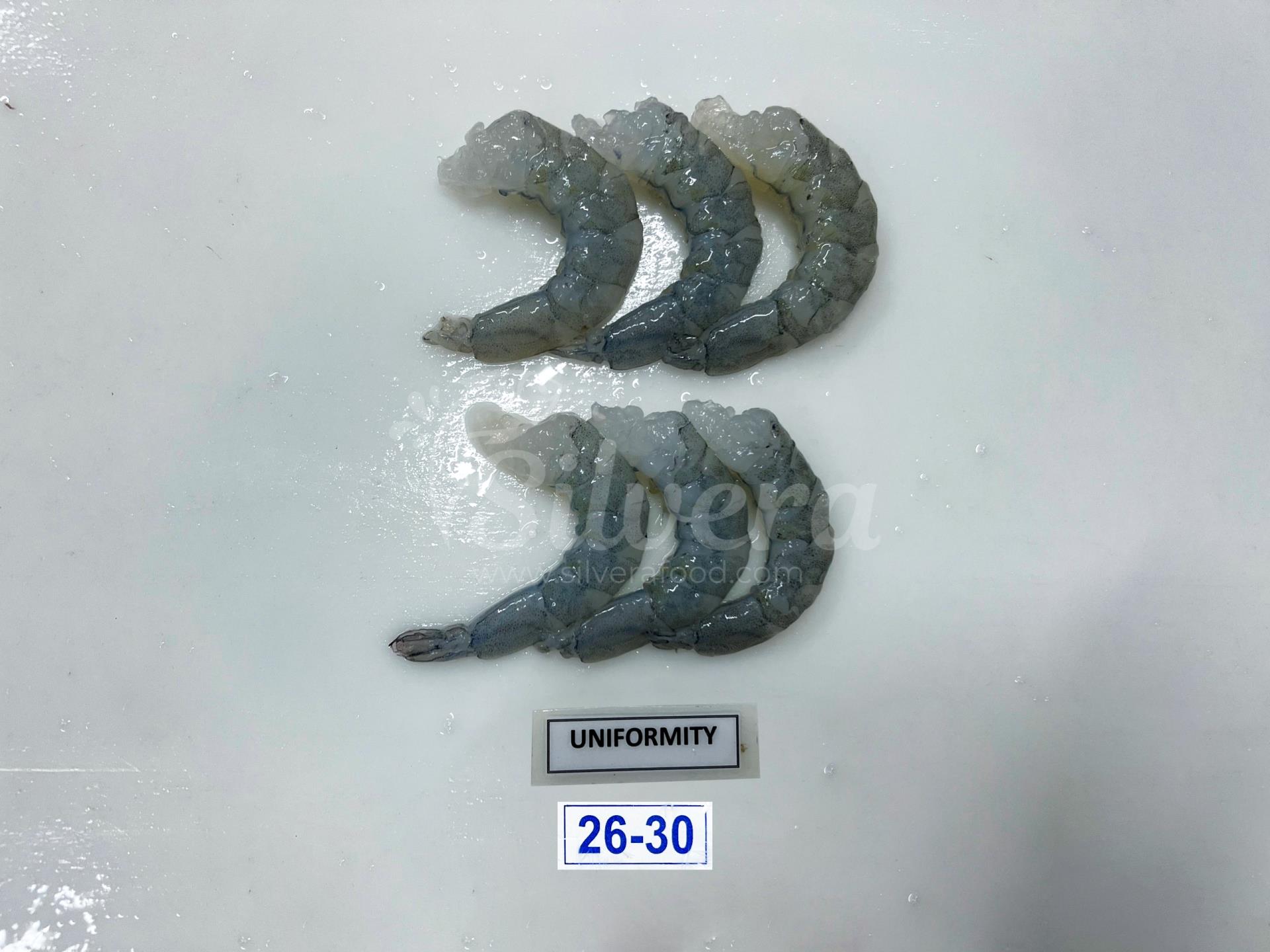 ASC vannamei shrimp meat defrosted