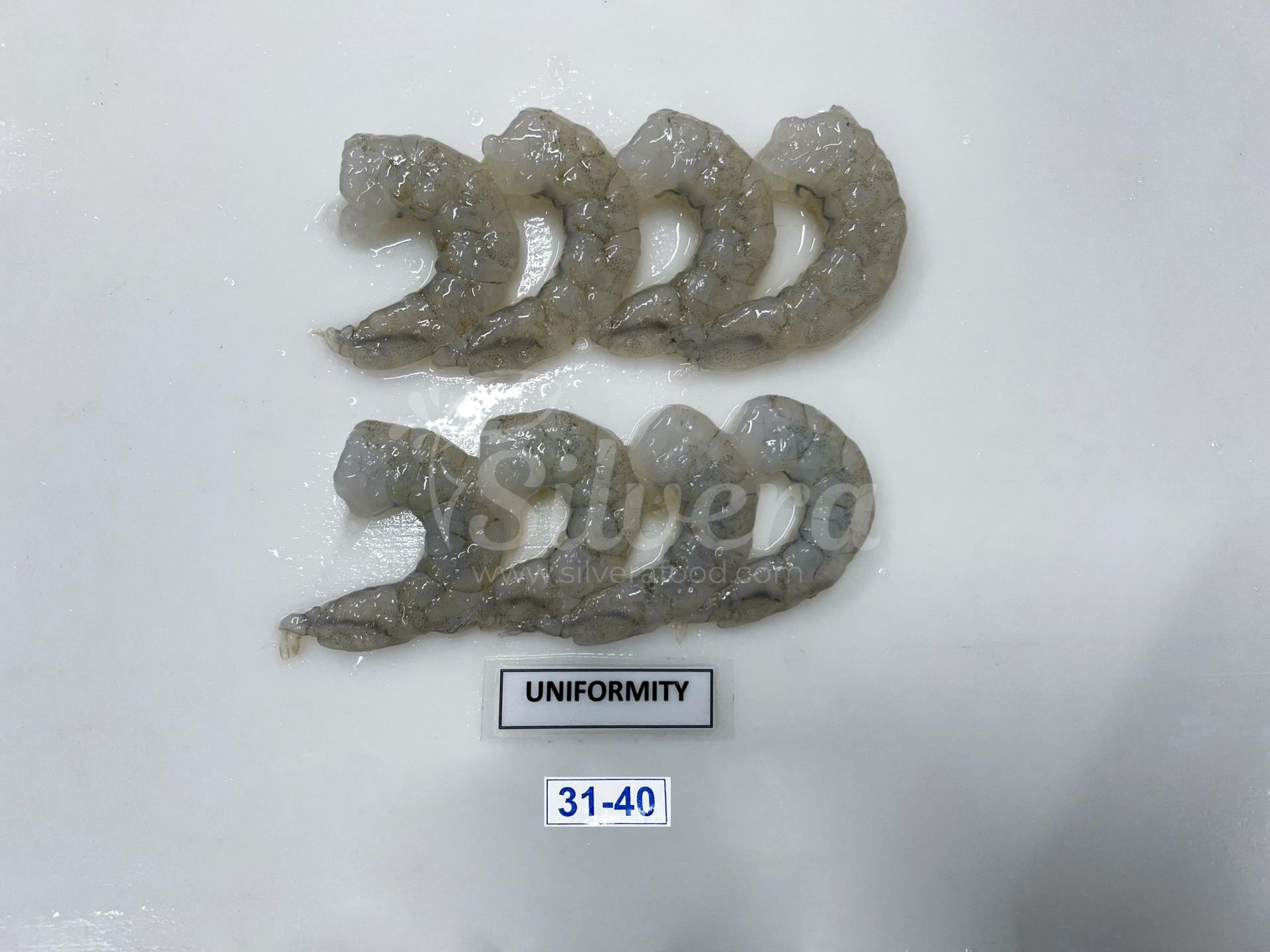 ASC vannamei shrimp meat defrosted