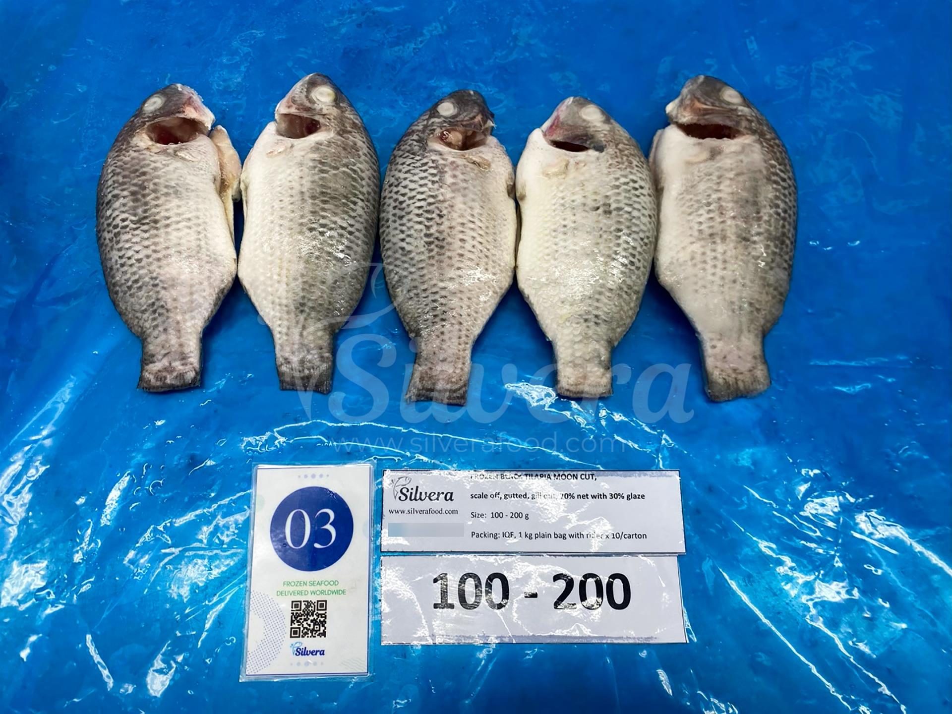 Frozen whole cleaned moon-cut tilapia