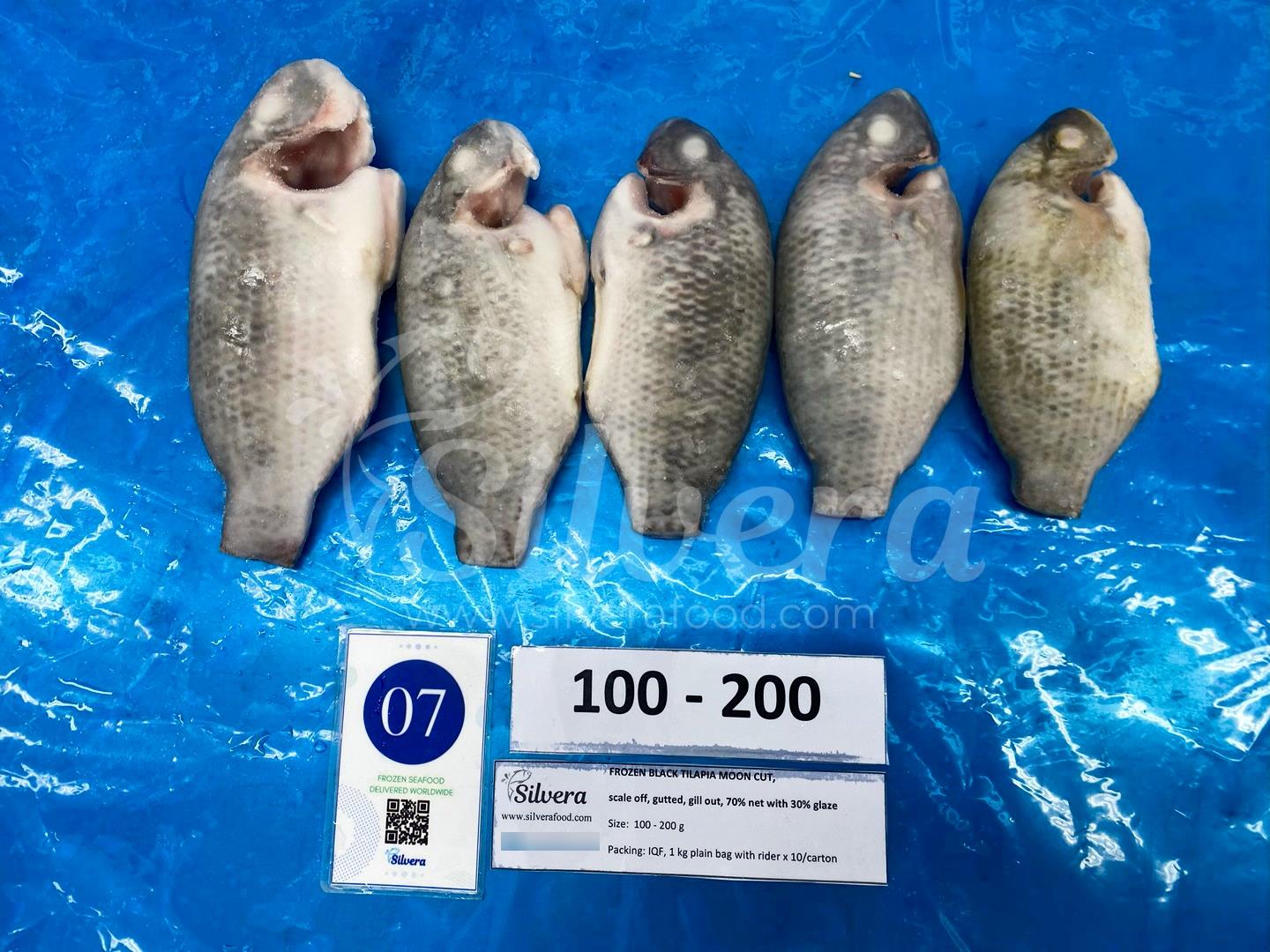 Frozen whole cleaned moon-cut tilapia