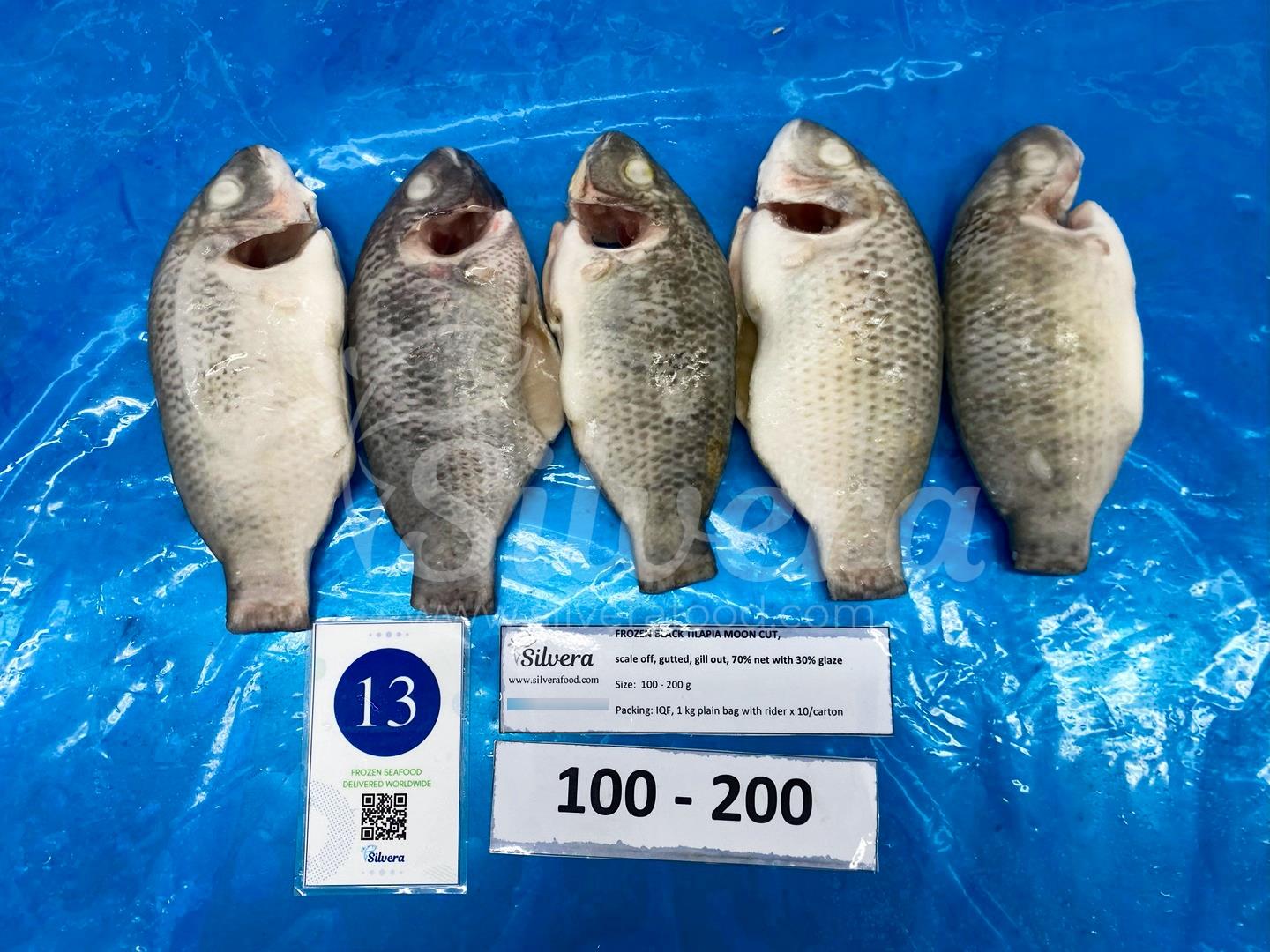 Frozen whole cleaned moon-cut tilapia