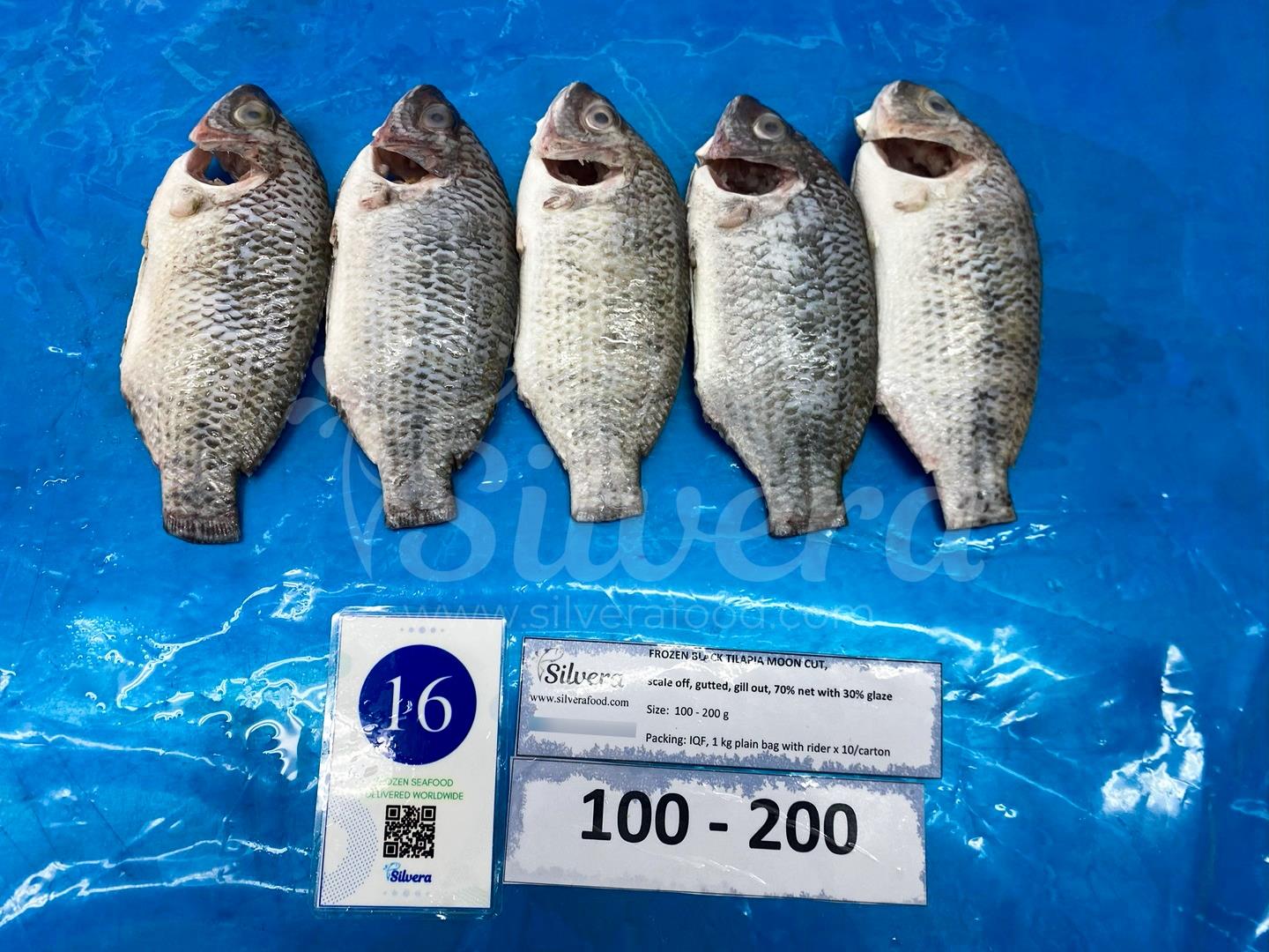 Thawed whole cleaned moon-cut tilapia