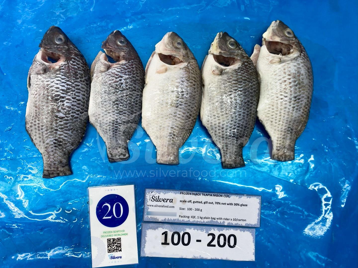 Thawed whole cleaned moon-cut tilapia