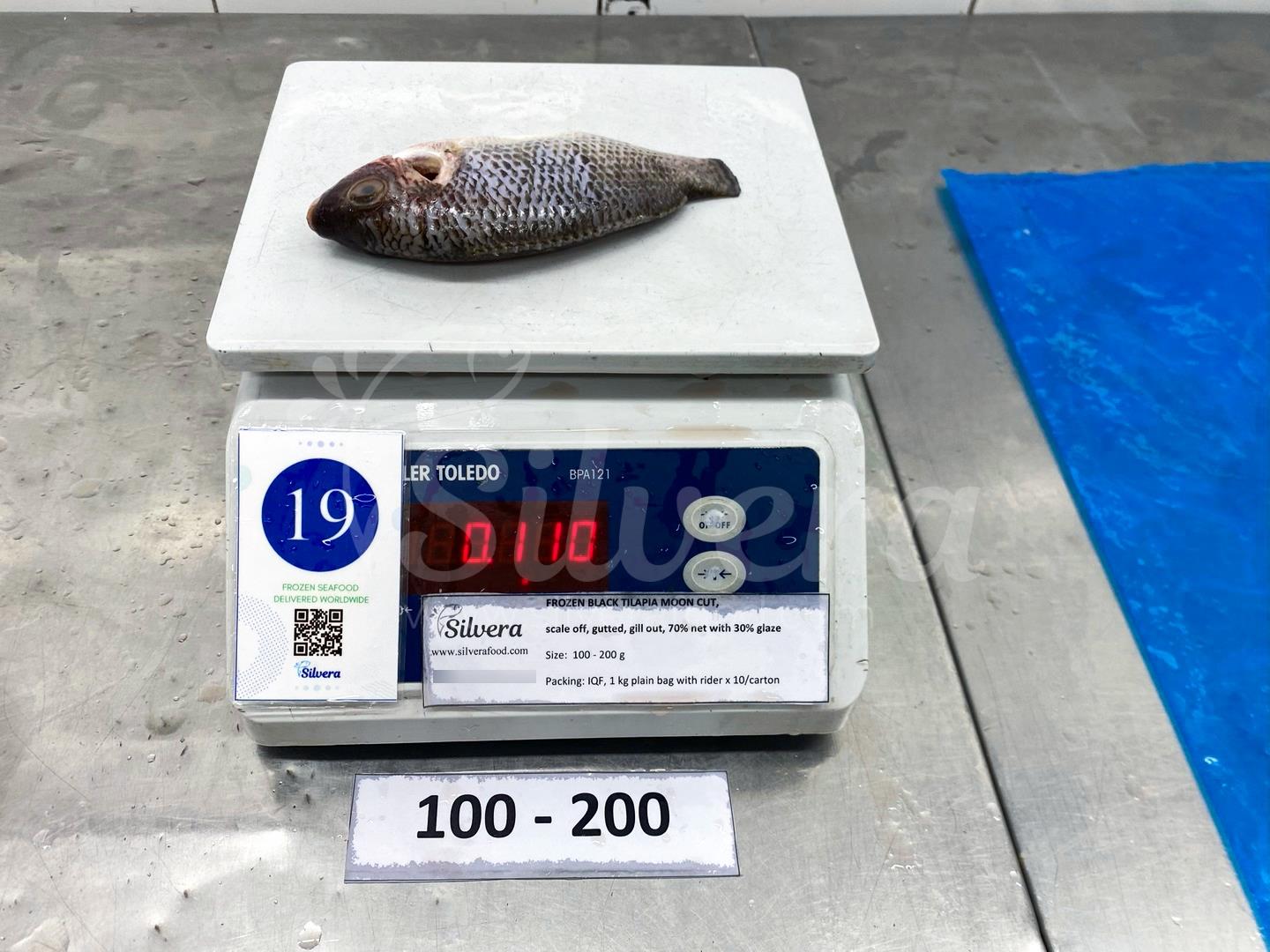 Whole cleaned black tilapia 100-200g