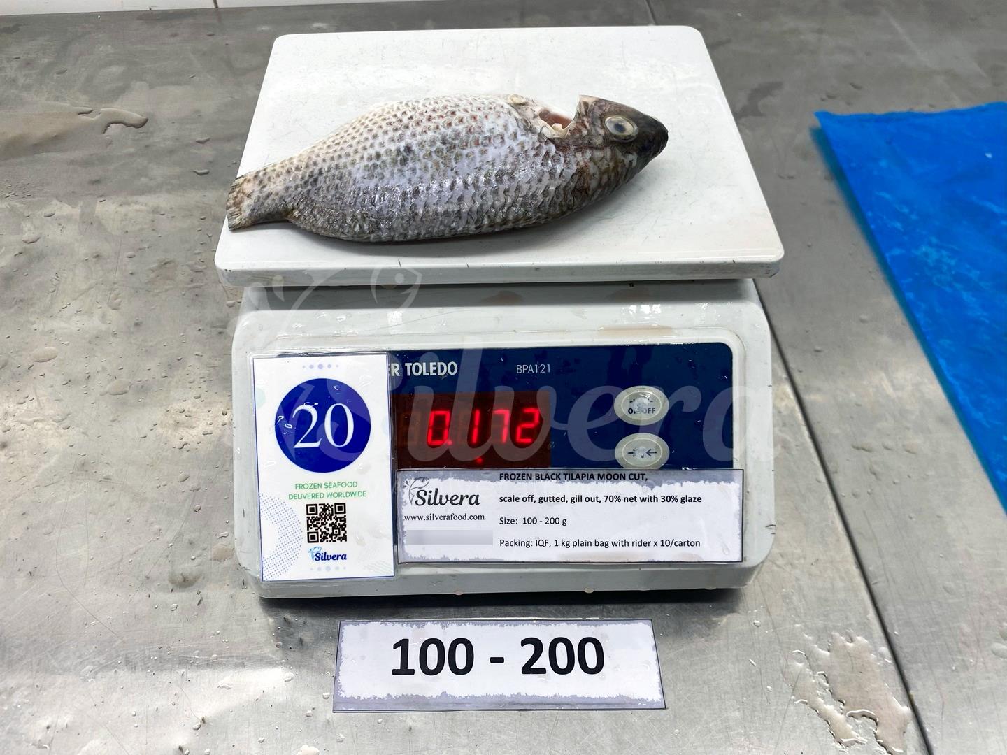 Whole cleaned black tilapia 100-200g