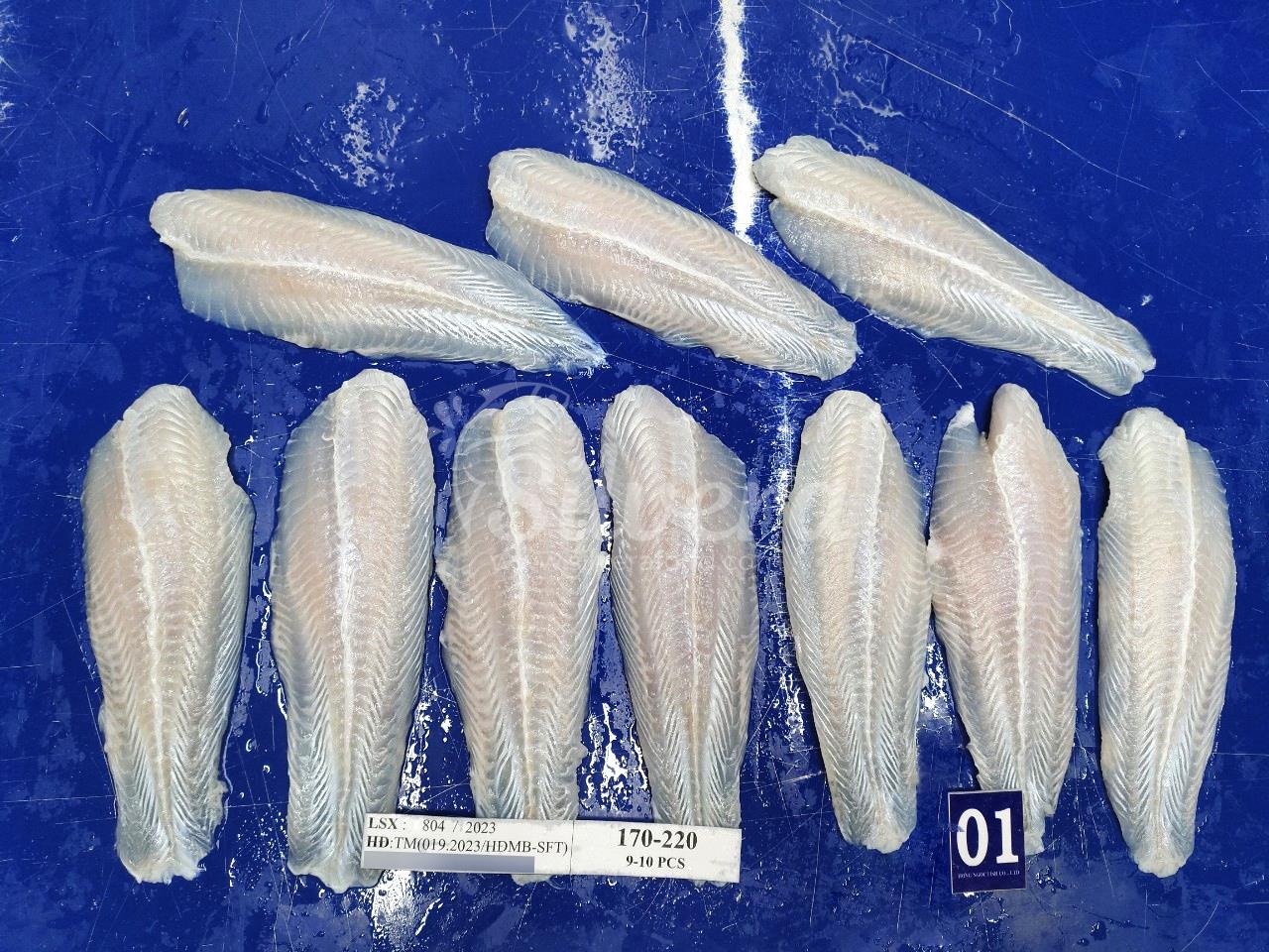 Thawed pangasius fillets