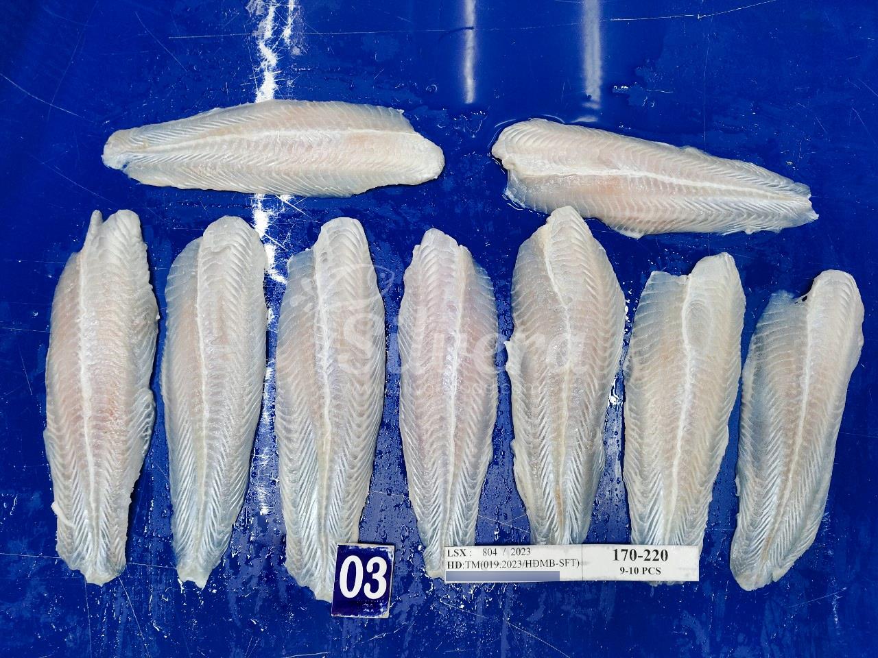 Thawed pangasius fillets