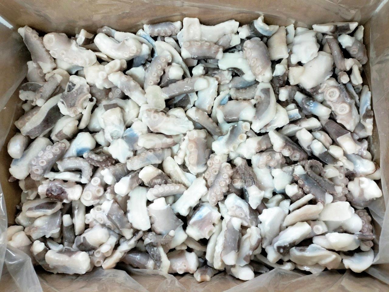 Master cartons of IQF cut poulp squid