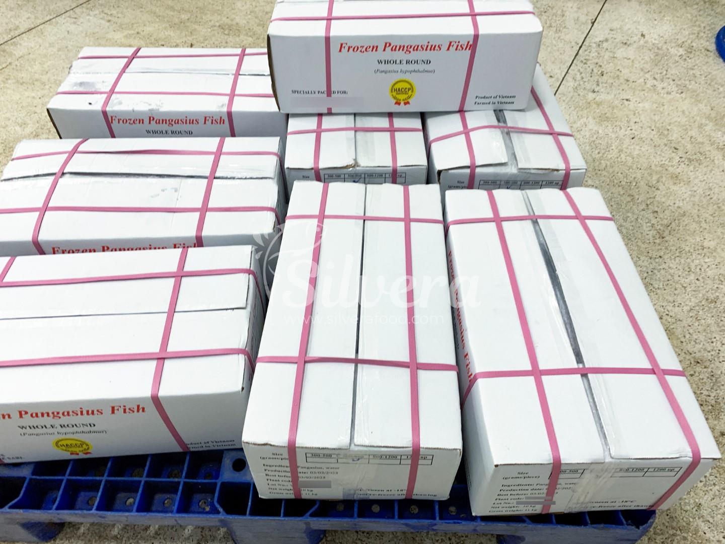 Master cartons of whole round pangasius fish