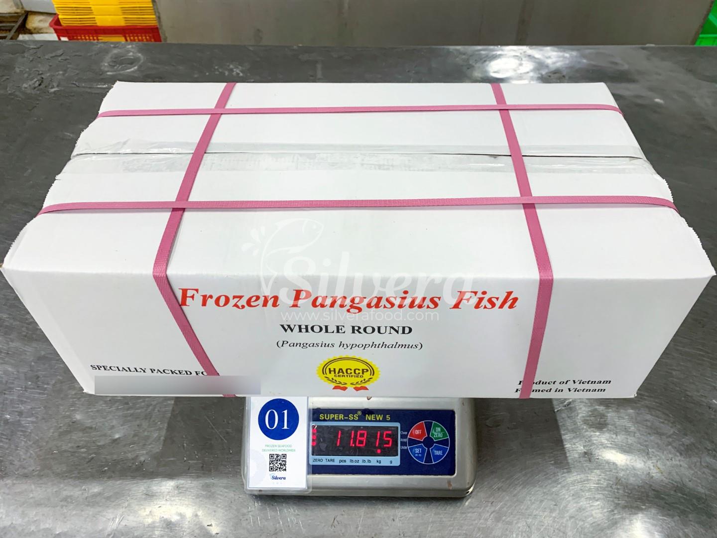 Master carton of whole round pangasius fish