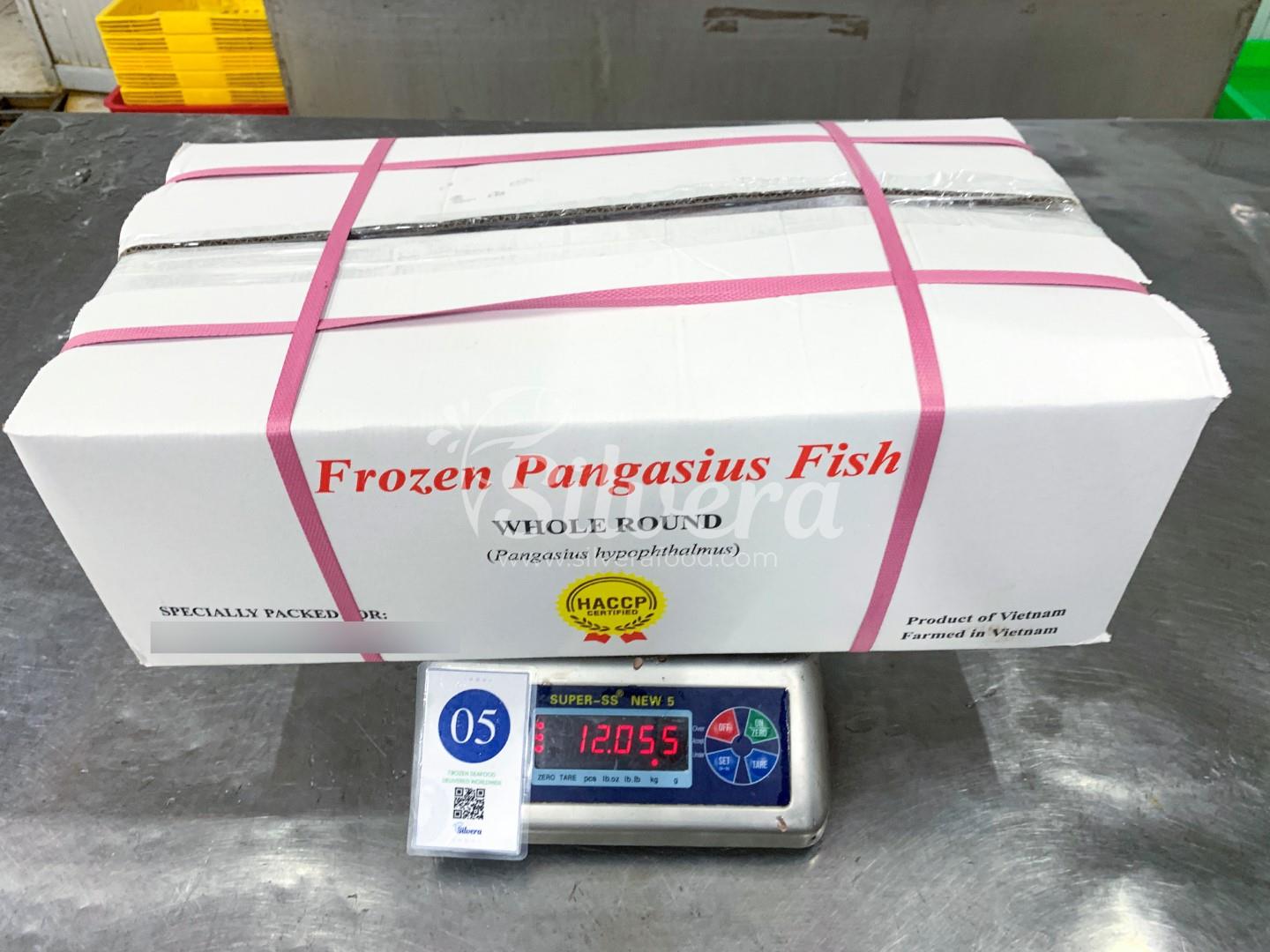 Master carton of whole round pangasius fish