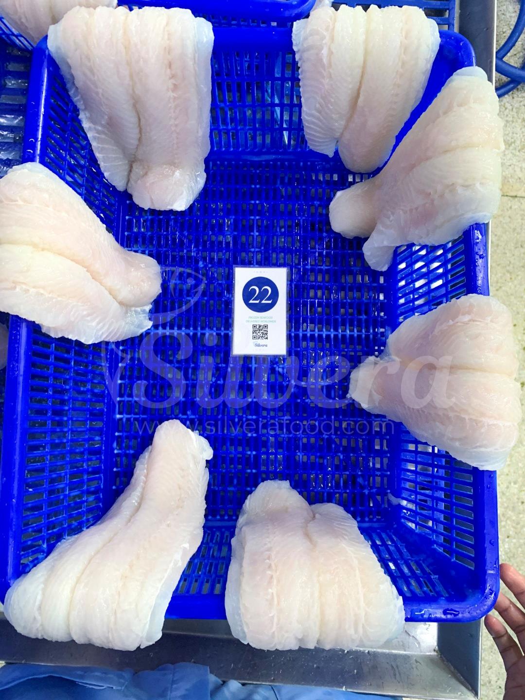 Defrosted pangasius fillets