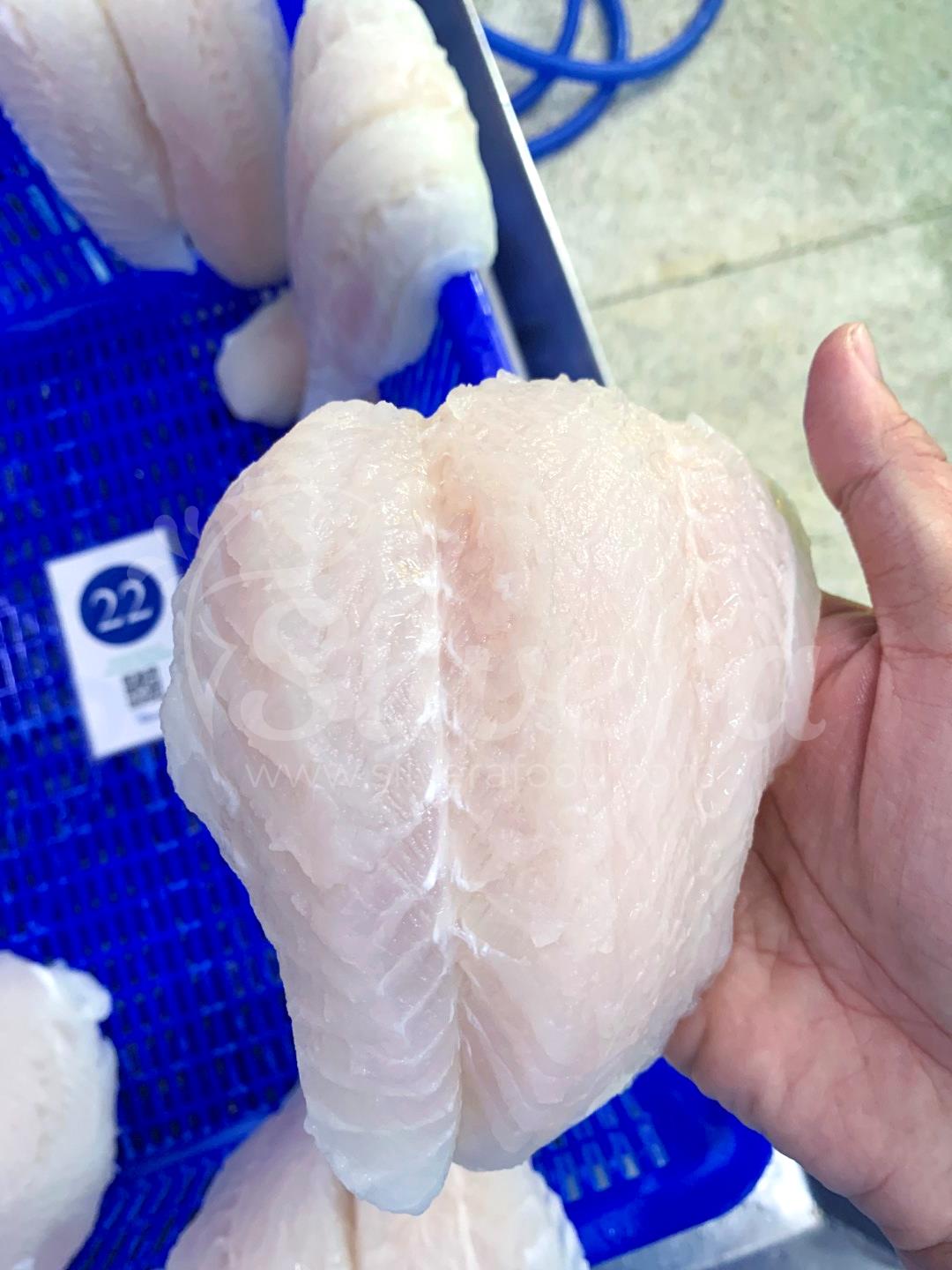 Texture of a defrosted pangasius fillet