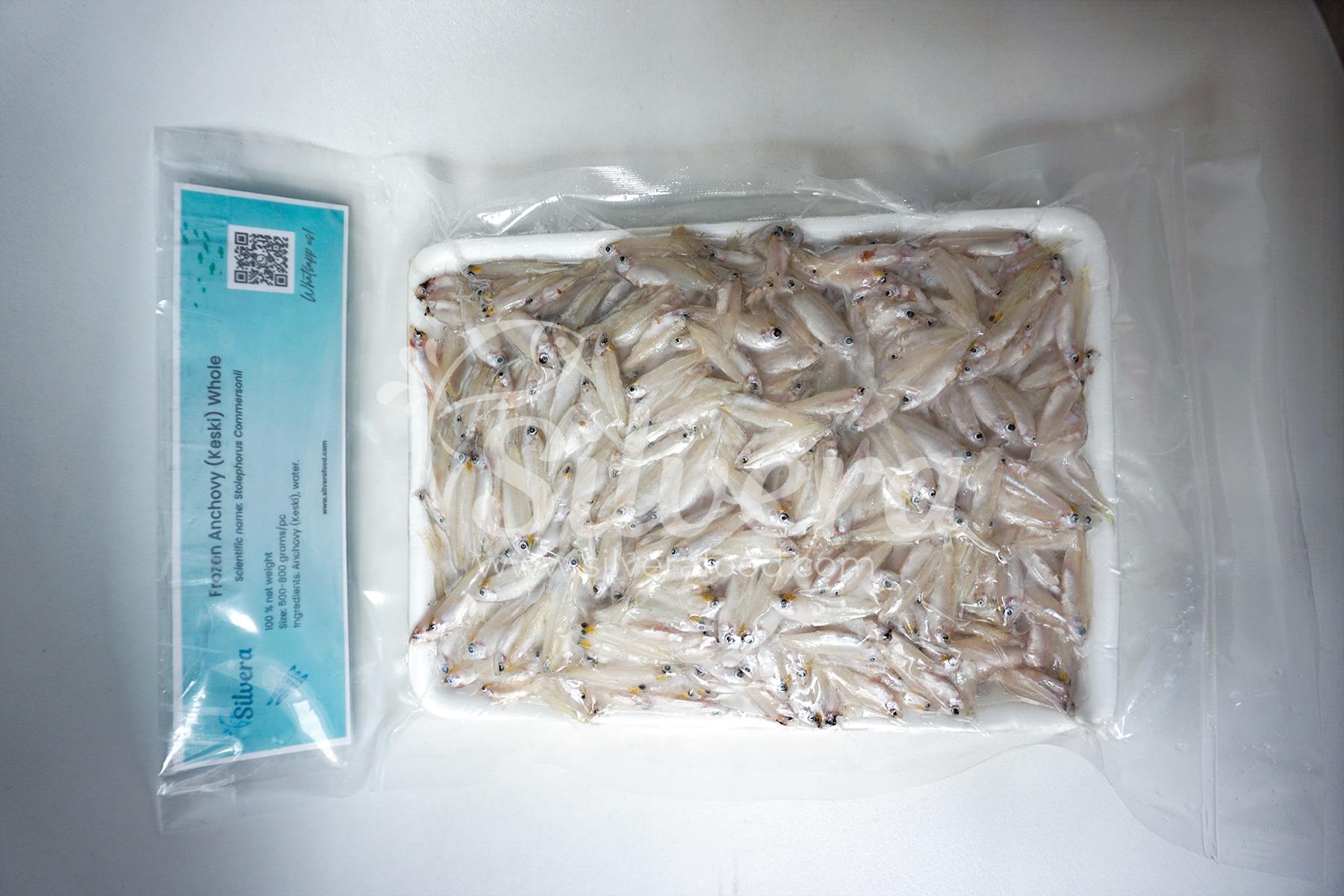 Whole round anchovies