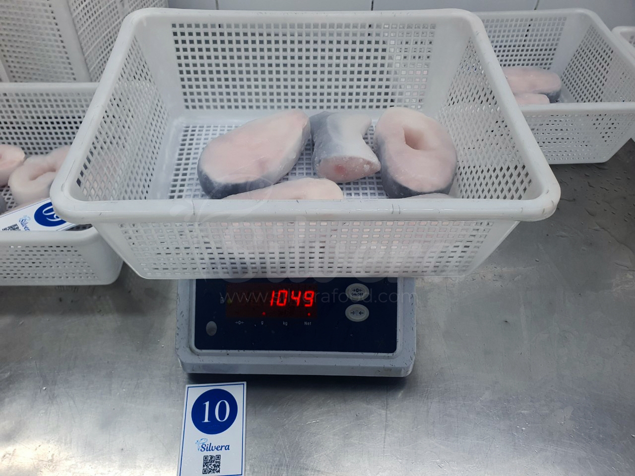 Frozen pangasius steaks