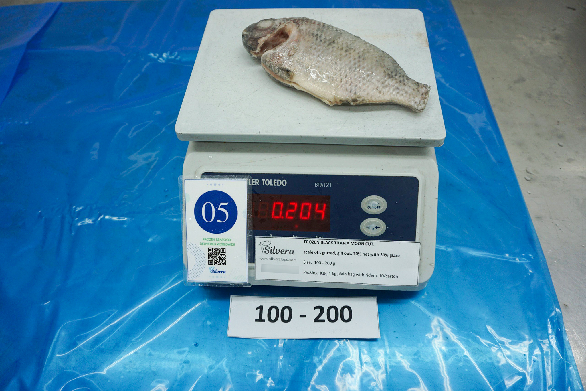 Tilapia moon-cut size 100-200