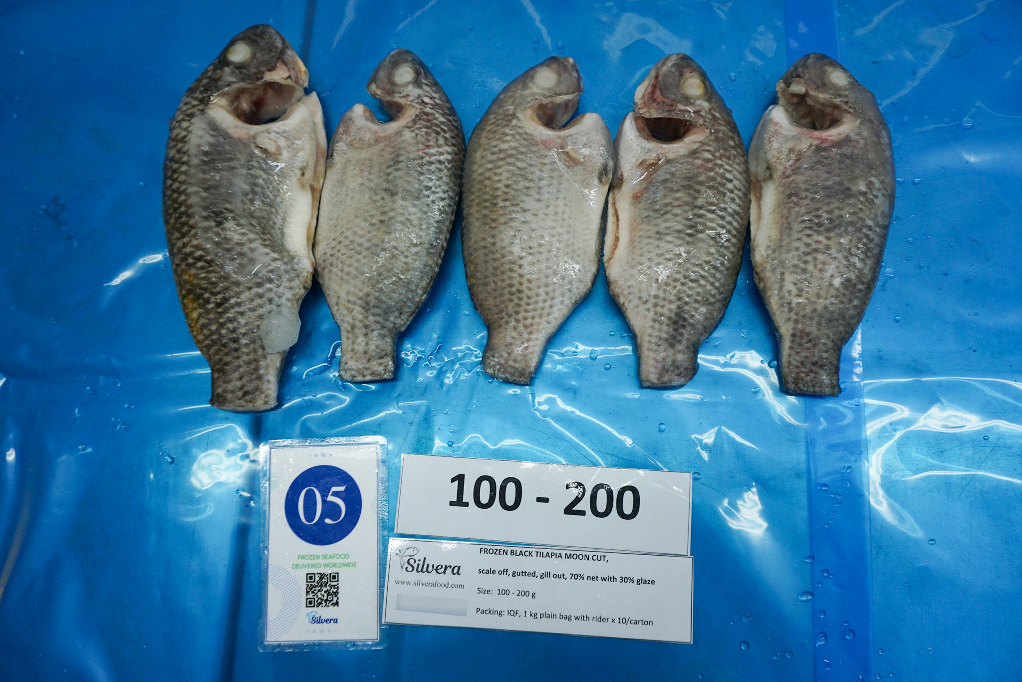Frozen black tilapia moon-cut size 100-200