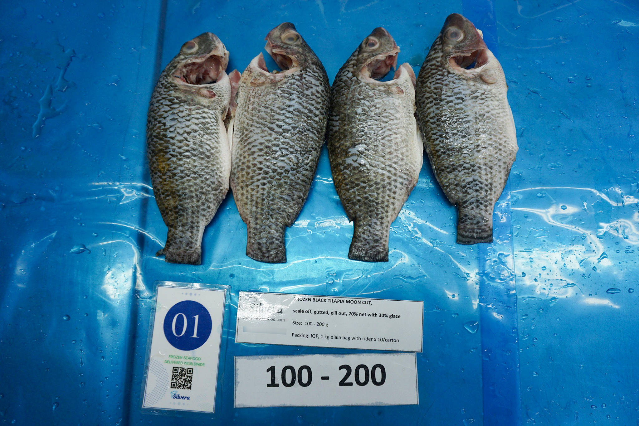 Defrosted tilapia moon-cut 100-200