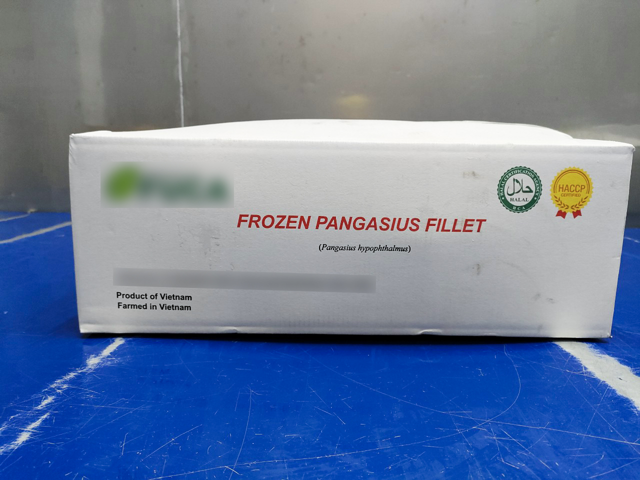 Master carton of pangasius fillets