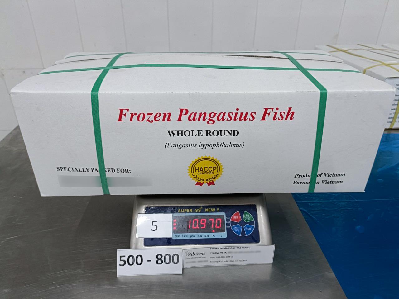 Master carton of pangasius whole round