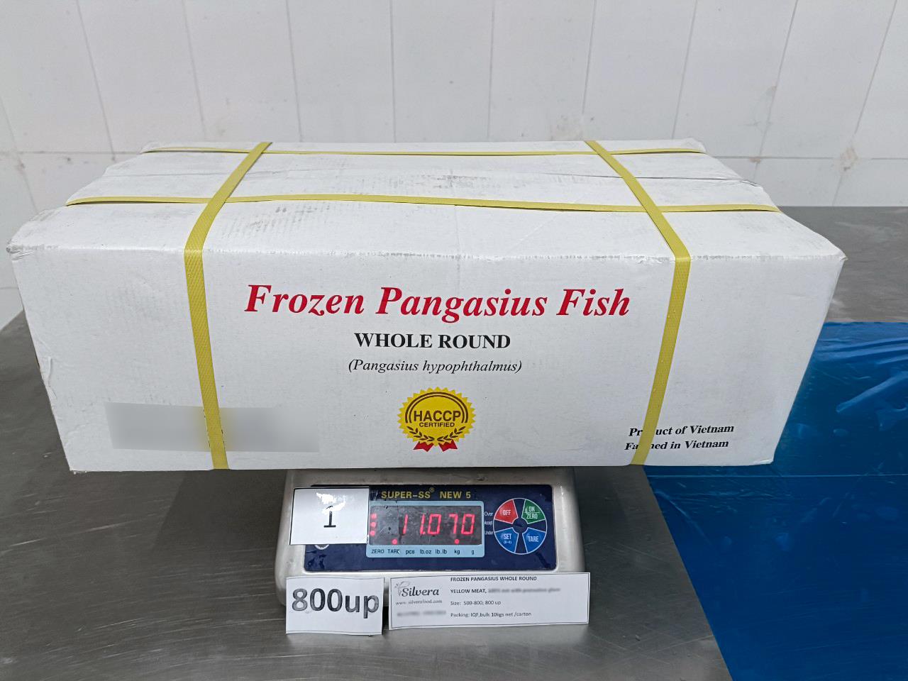 Master carton of pangasius whole round 800up