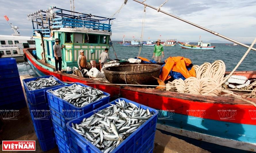 Seafood export value increased by 40% in the first half of 2022 – Vietnam  Fisheries Magazine