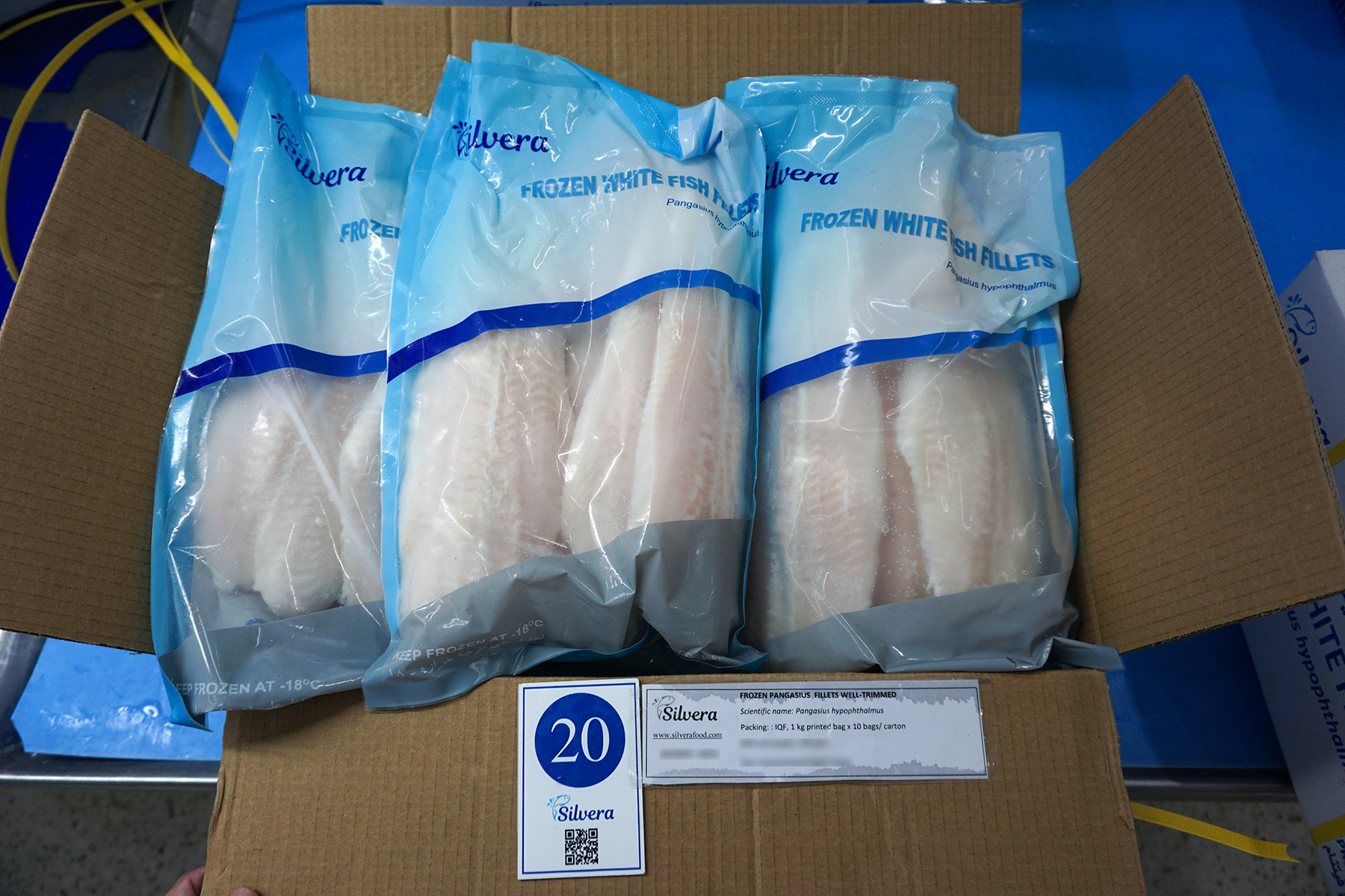 Pangasius fillet - Silvera