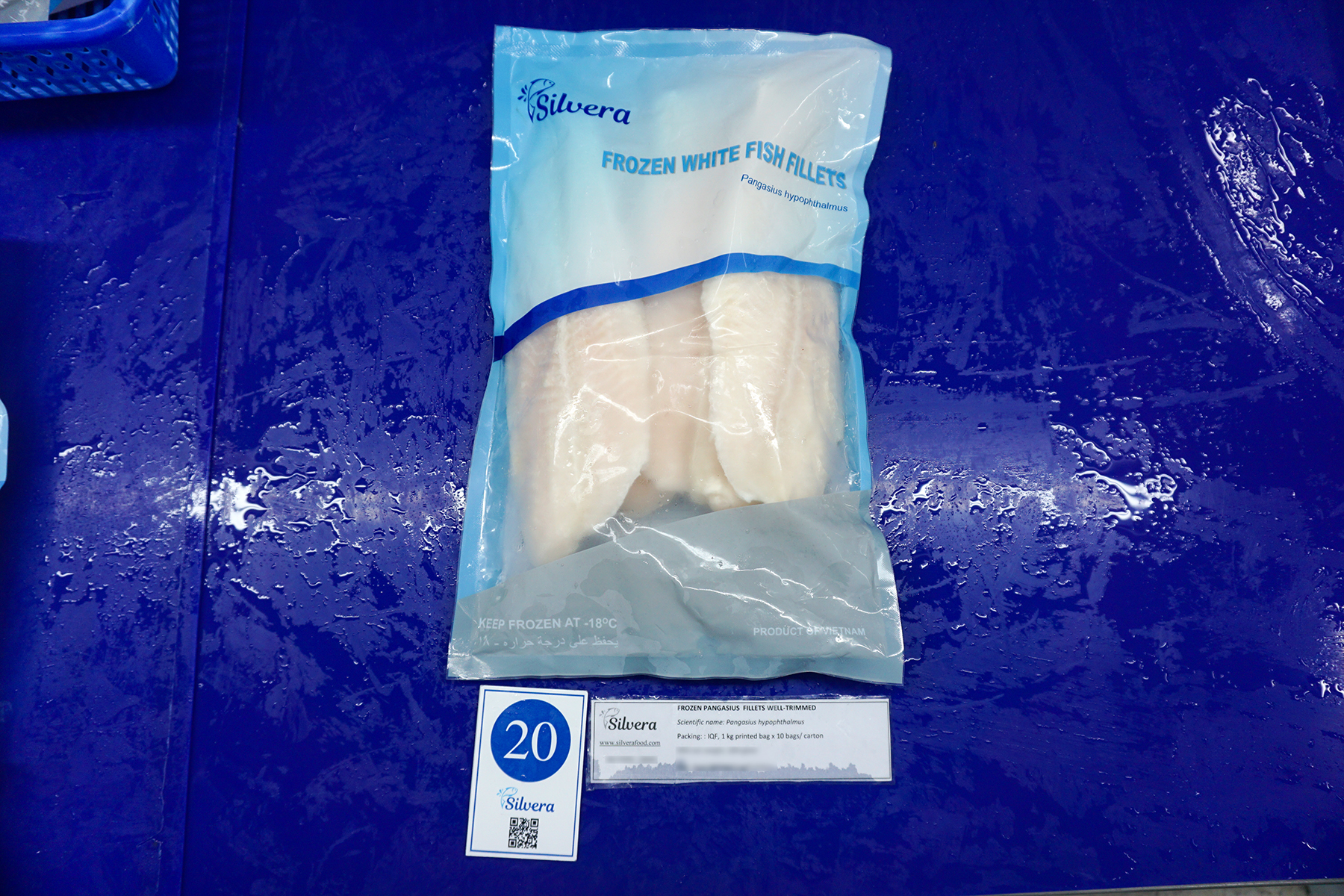 Pangasius fillet - Silvera