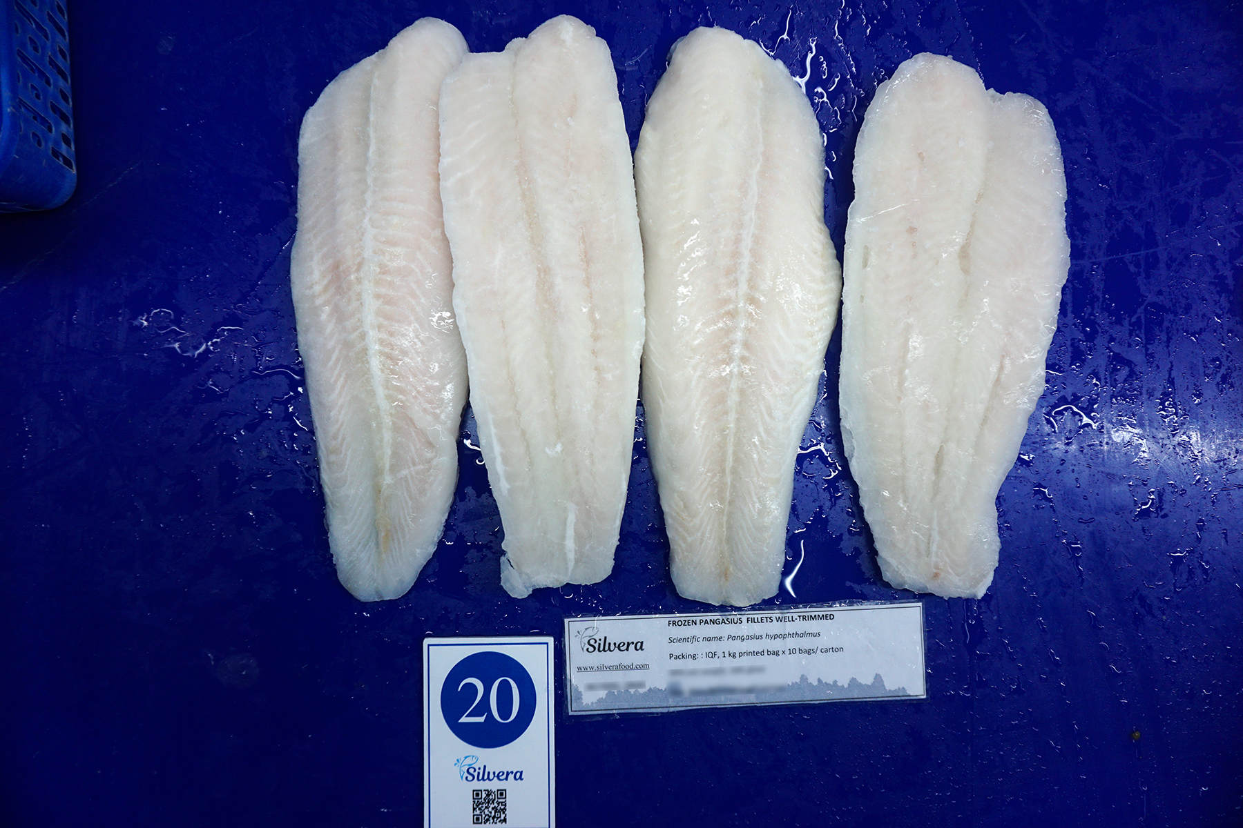 Pangasius fillet - Silvera