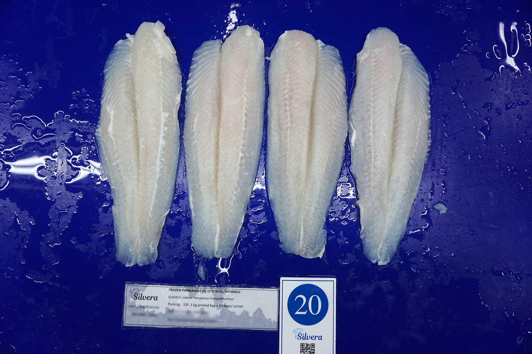 Pangasius fillet - Silvera