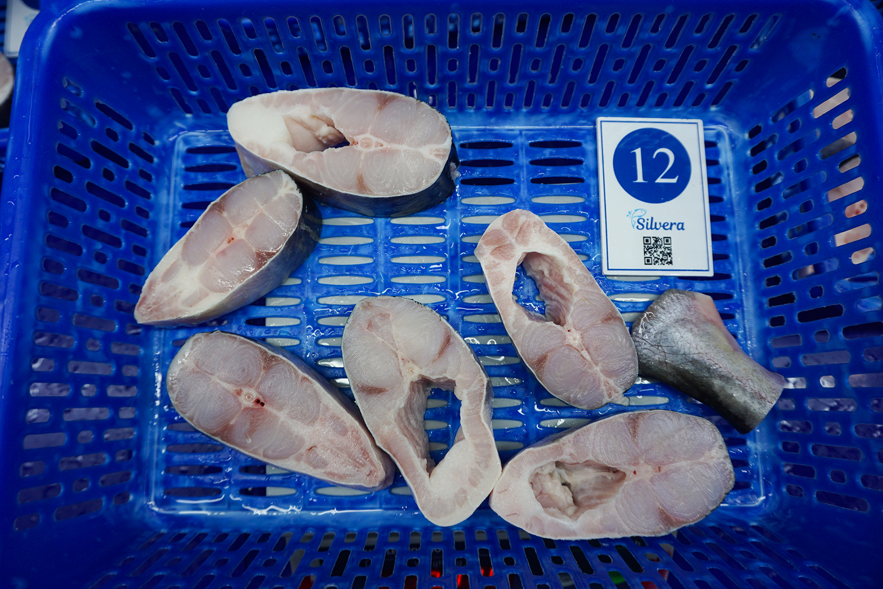 Pangasius steak - SILVERA