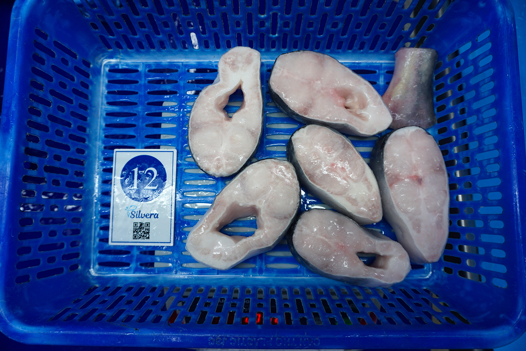 Pangasius steak - SILVERA