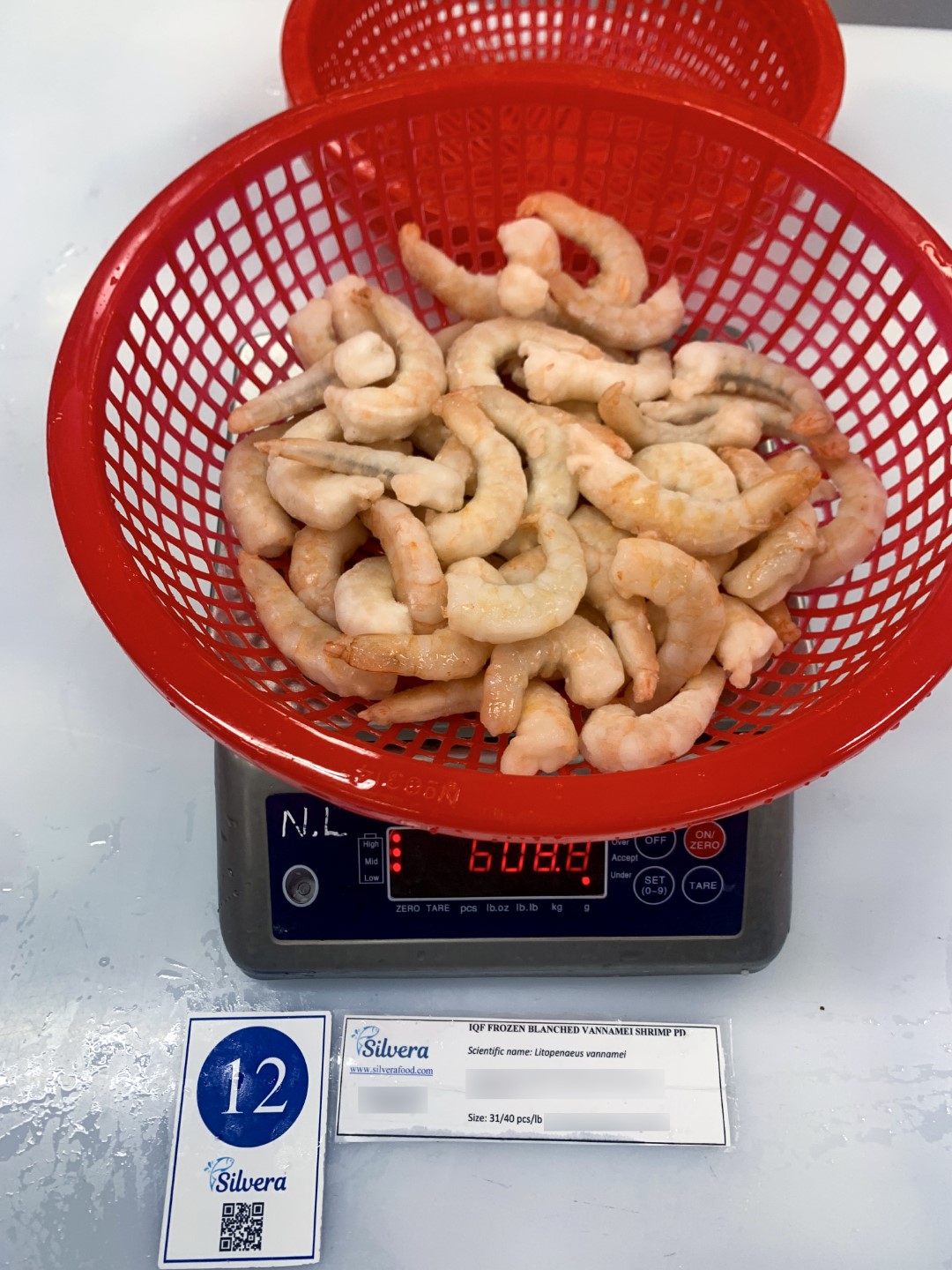 Frozen blanched vannamei shrimp 