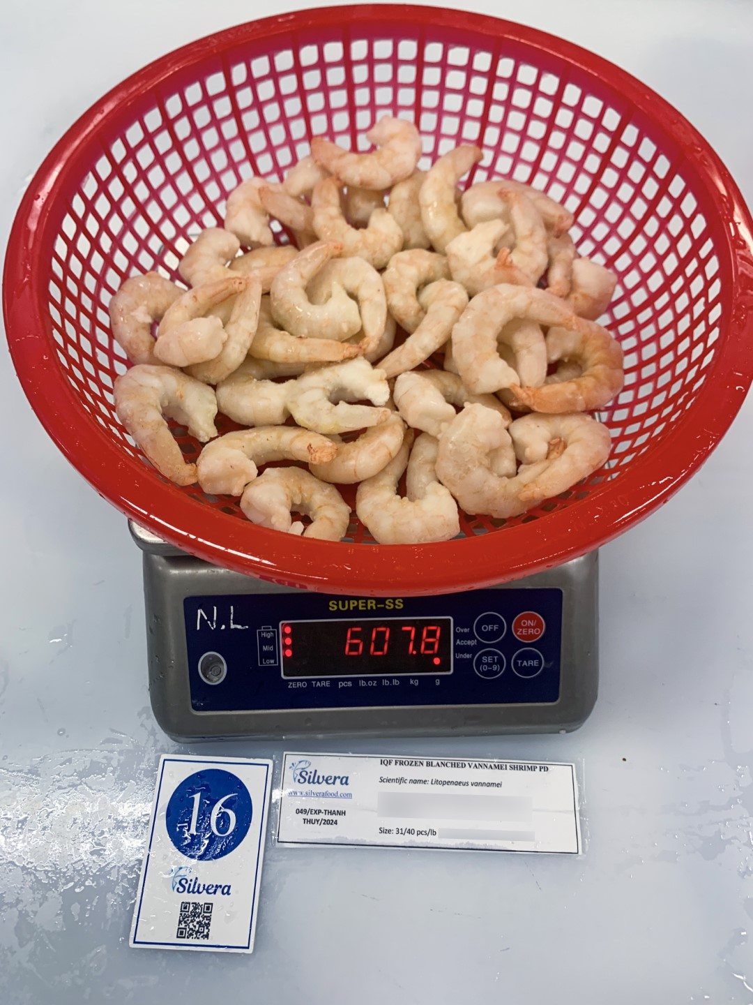 Frozen blanched vannamei shrimp 