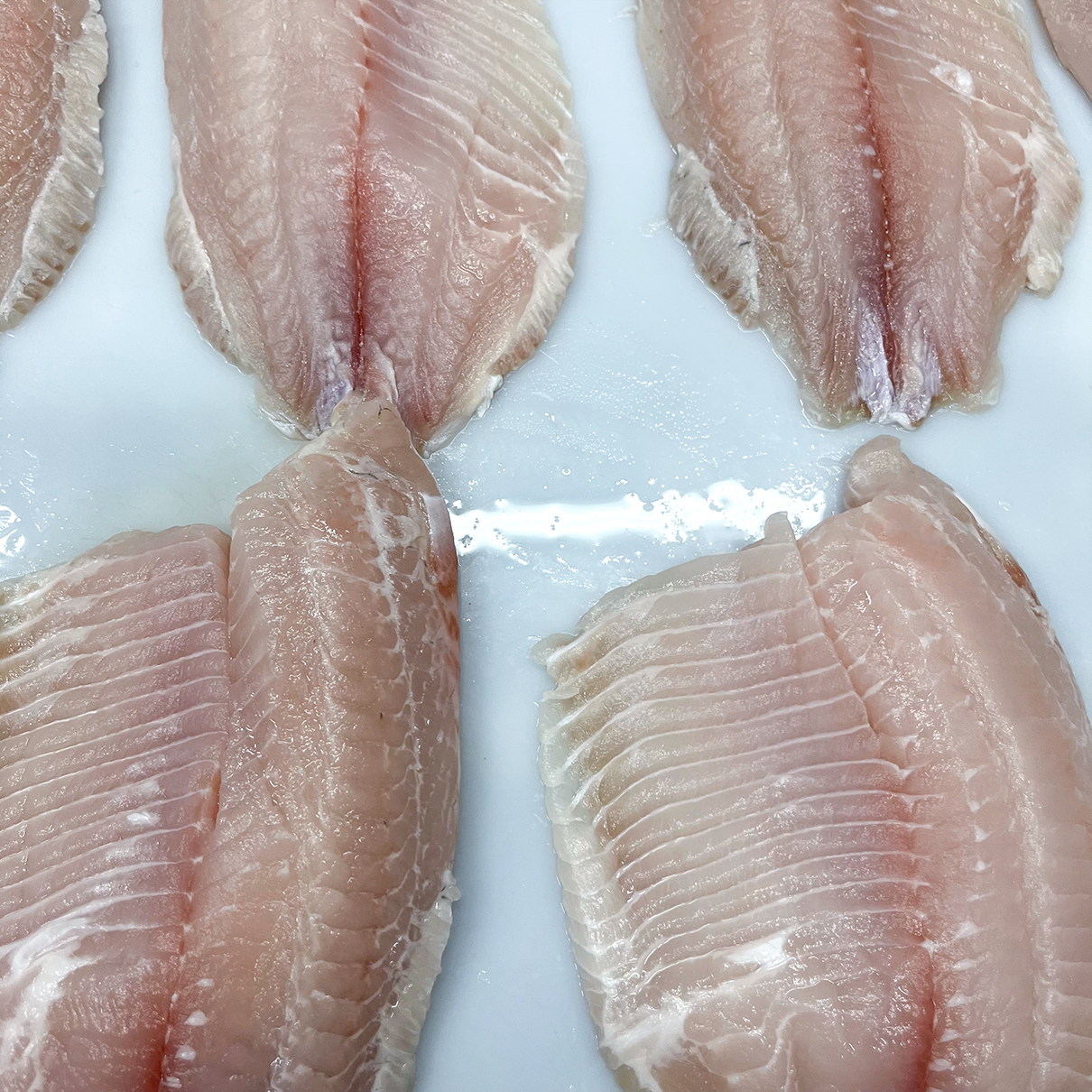 Defrosted black tilapia fillets