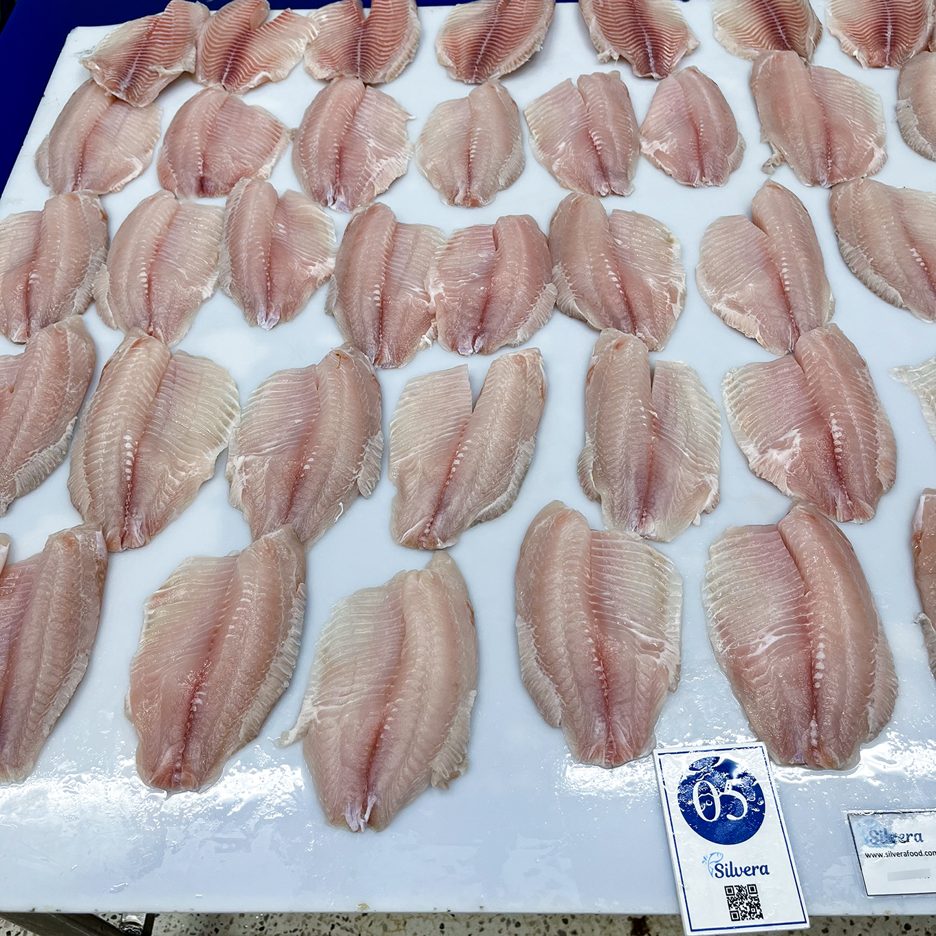 Defrosted black tilapia fillets