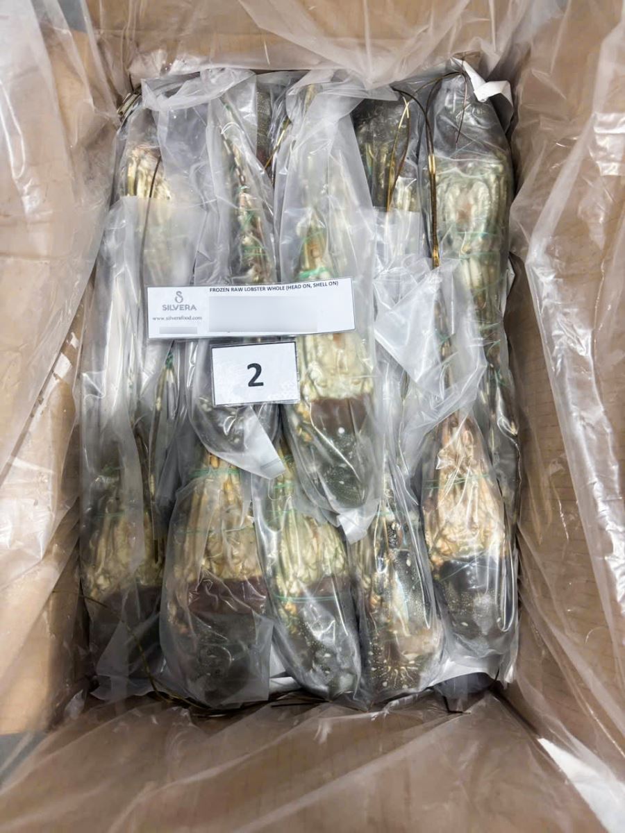 Frozen whole lobster