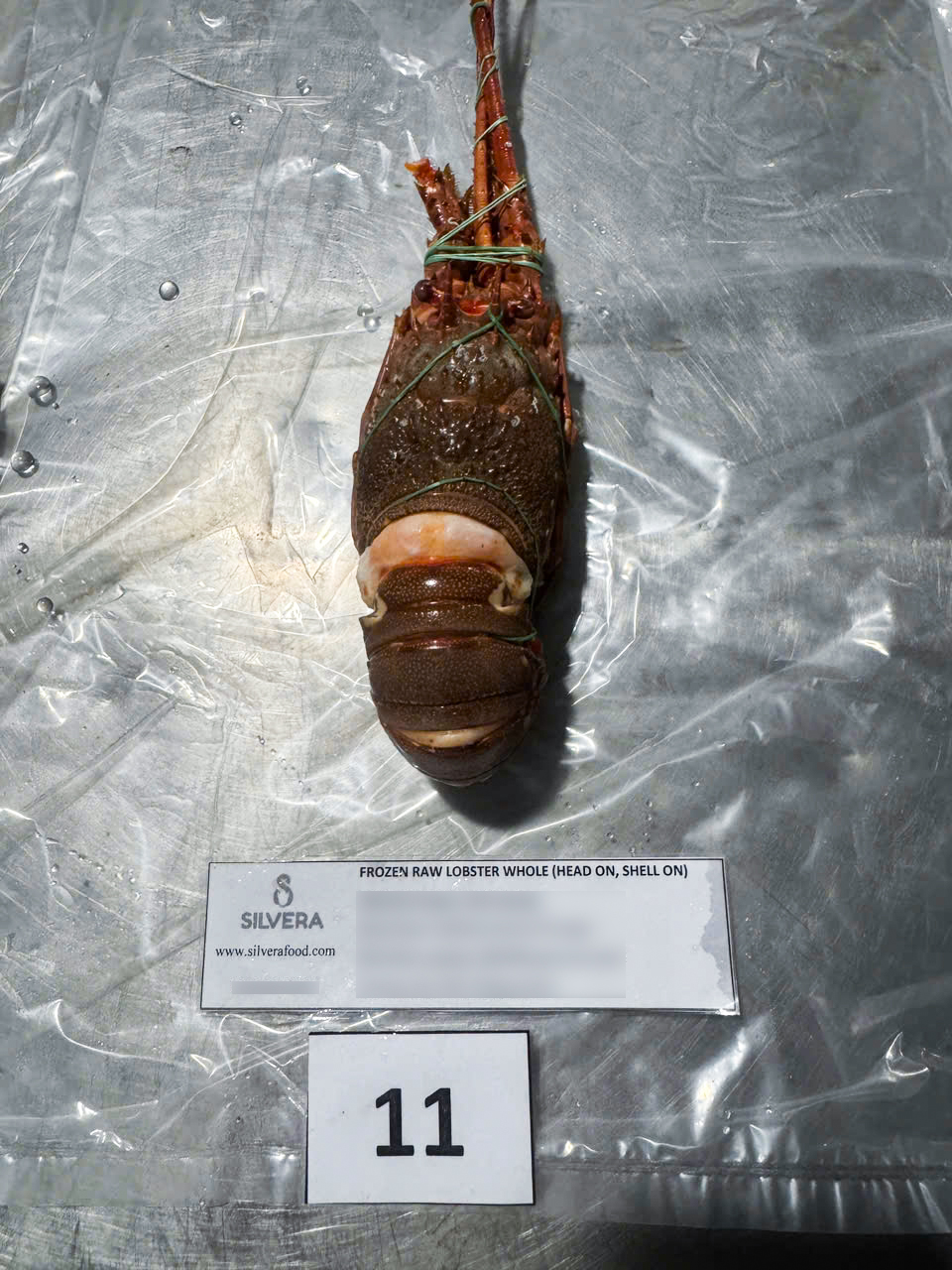 Cooked whole lobster