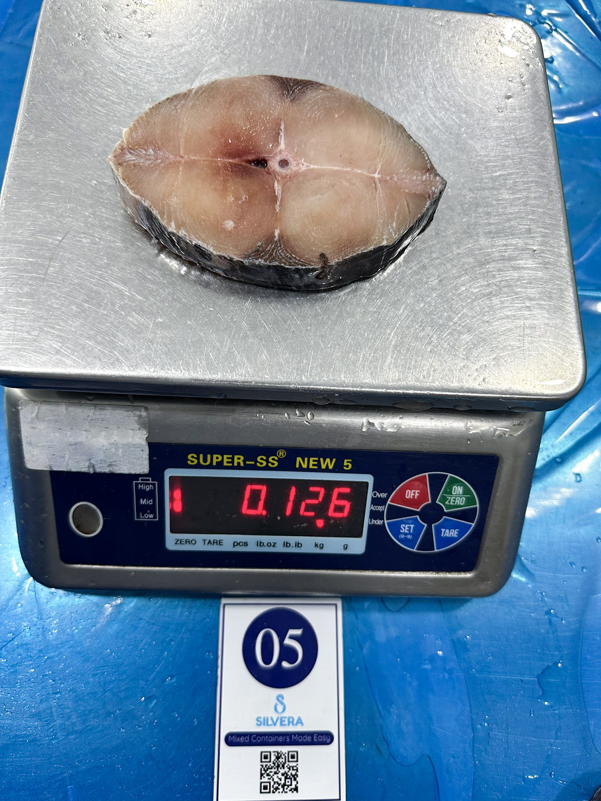 Wahoo steak
