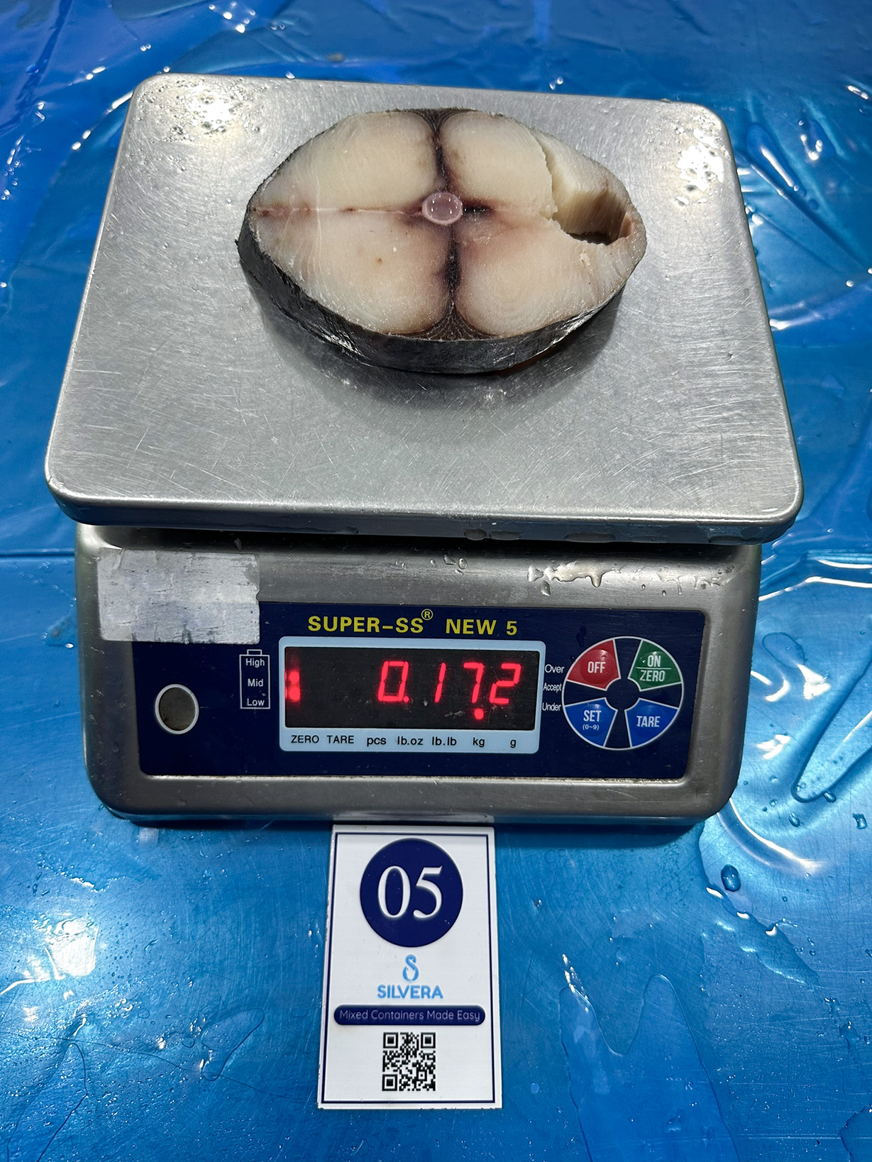 Wahoo steak