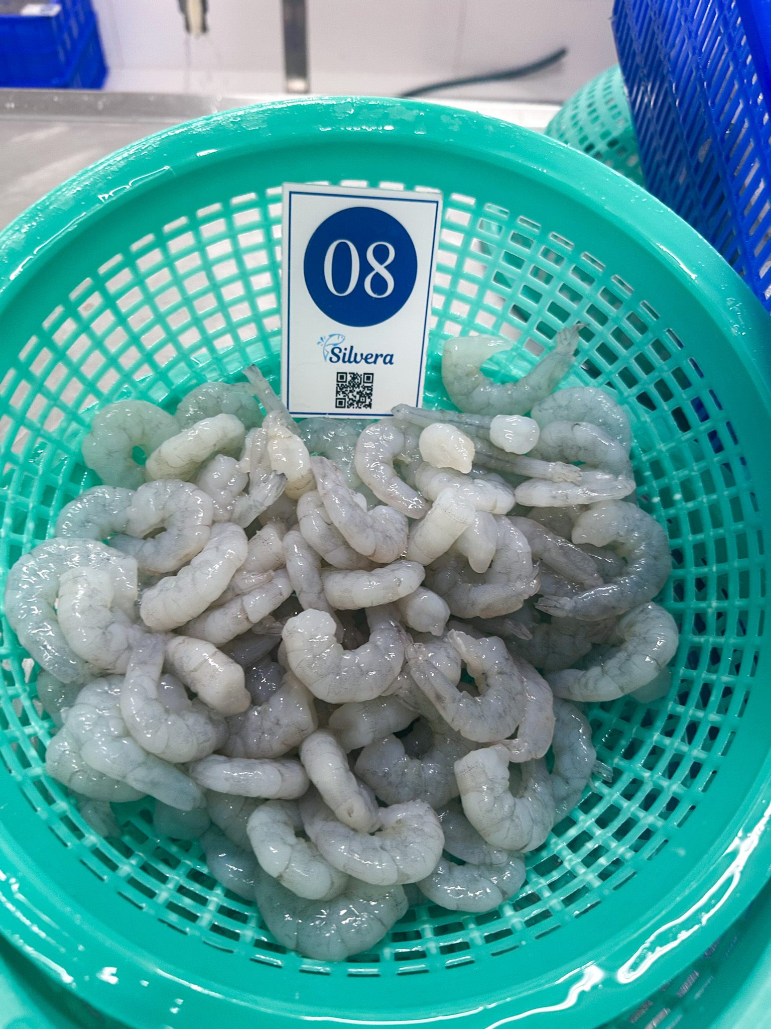 ASC RPD vannamei shrimp
