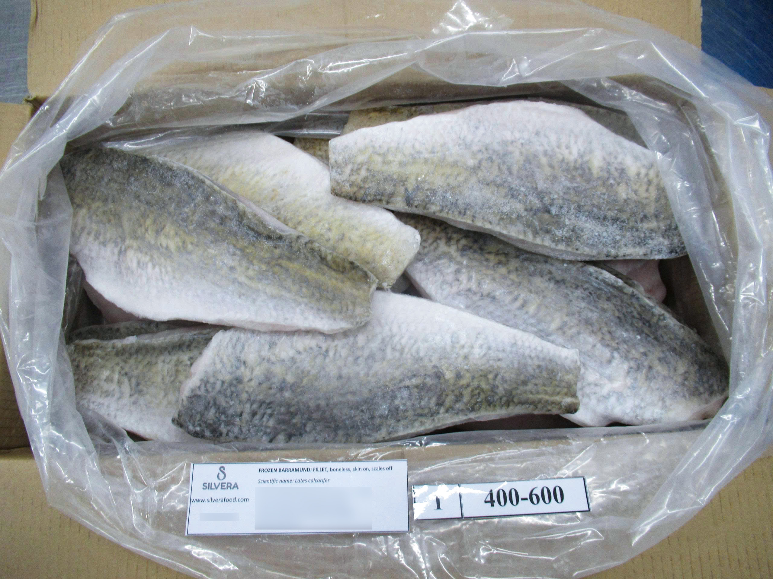 Barramundi fillets
