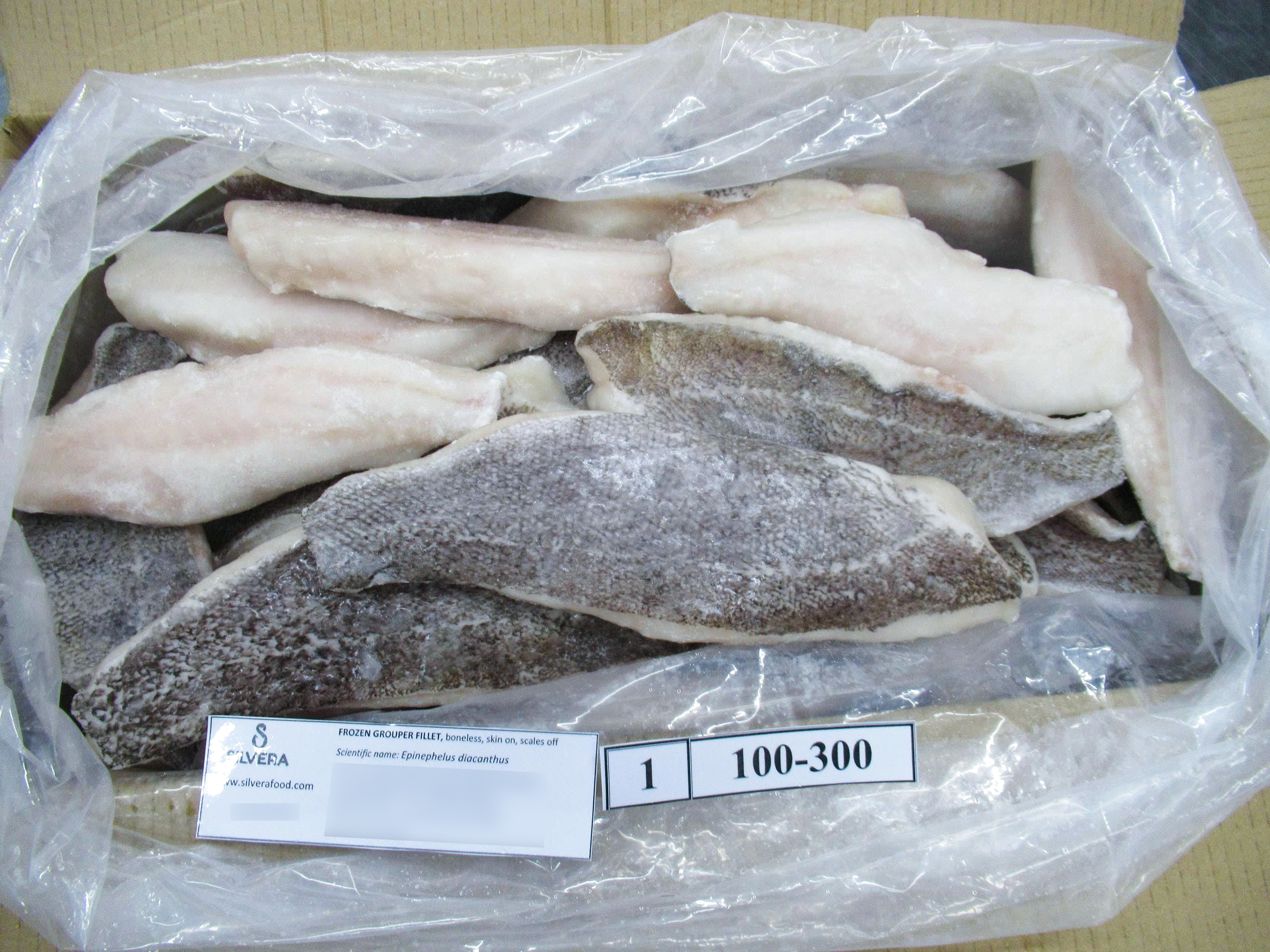 Grouper fillets