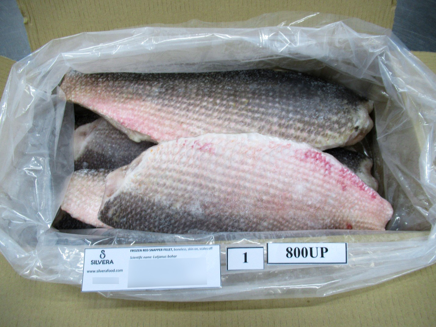 Red snapper fillets