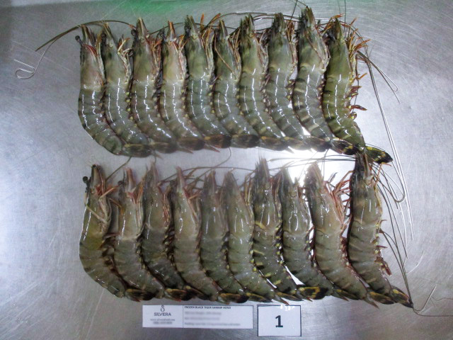 Black tiger shrimp head on shell on