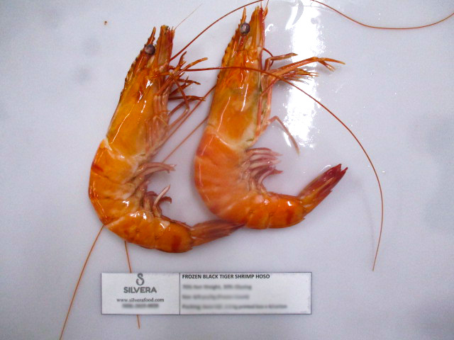 Cooked black tiger shrimp head on shell on