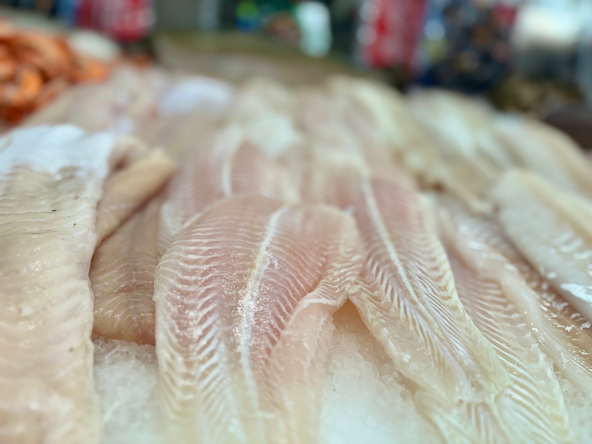 Fresh seafood displayed at the customer's store